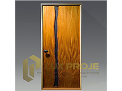 Special Designed Doors